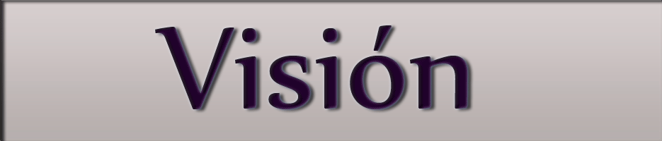 vision